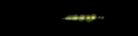 Processed fireball image