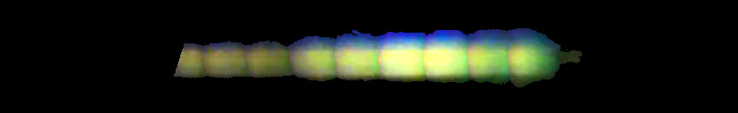 Processed fireball image