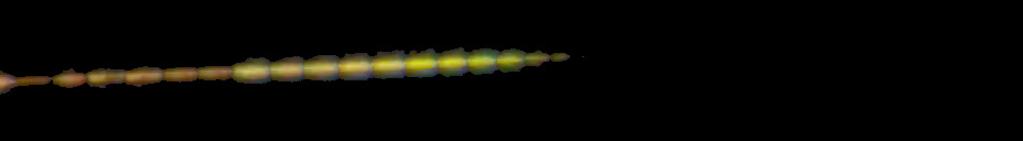 Processed fireball image