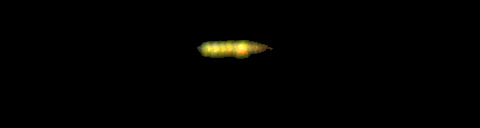 Processed fireball image