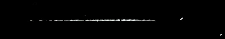 Processed fireball image