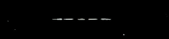 Processed fireball image