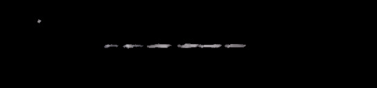 Processed fireball image