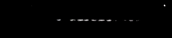 Processed fireball image