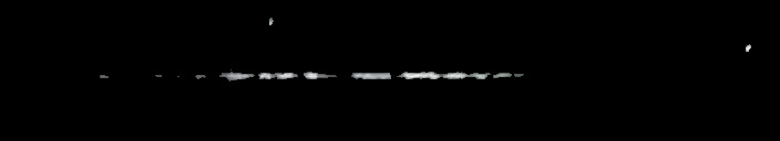 Processed fireball image