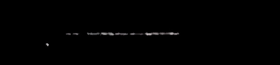 Processed fireball image