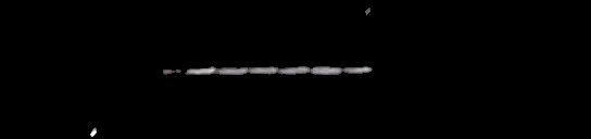 Processed fireball image