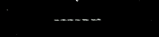 Processed fireball image