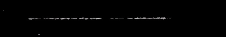 Processed fireball image