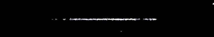 Processed fireball image