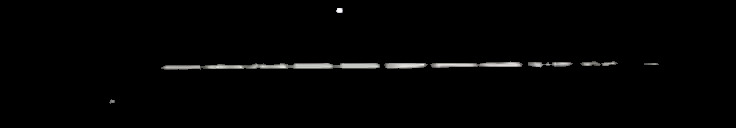 Processed fireball image