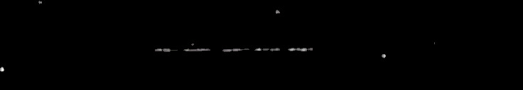 Processed fireball image