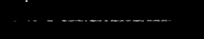 Processed fireball image