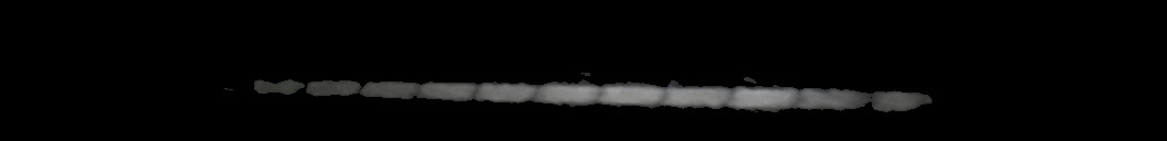 Processed fireball image