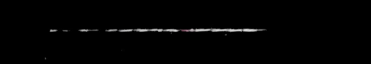 Processed fireball image