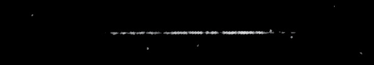 Processed fireball image