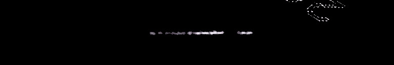 Processed fireball image