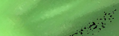 Processed fireball image