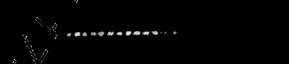 Processed fireball image