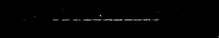 Processed fireball image