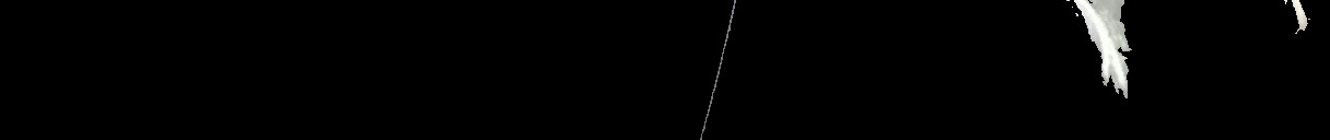 Processed fireball image