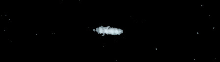 Processed fireball image