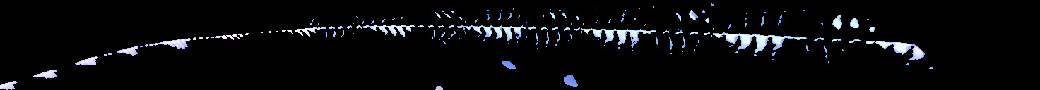 Processed fireball image