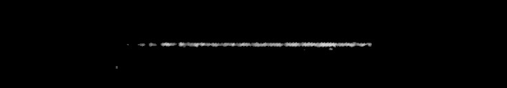 Processed fireball image