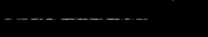 Processed fireball image