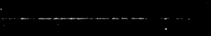Processed fireball image