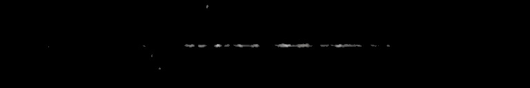 Processed fireball image