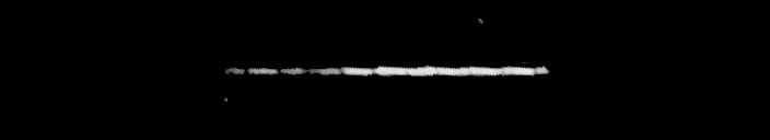 Processed fireball image