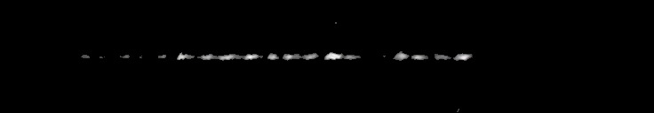Processed fireball image