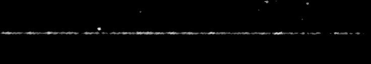 Processed fireball image