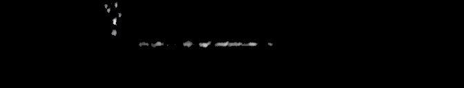 Processed fireball image