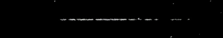 Processed fireball image