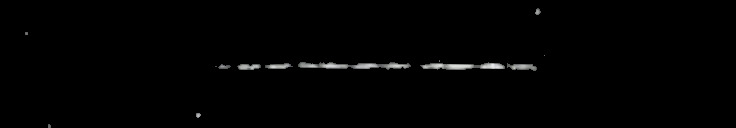 Processed fireball image