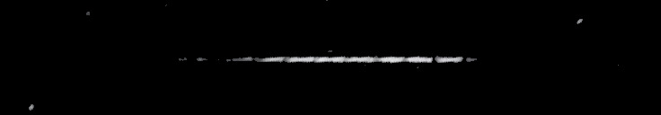 Processed fireball image