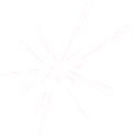 NMN Logo
