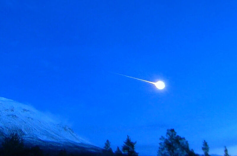 Flott nordlig tauride sett i Troms og Finnmark
