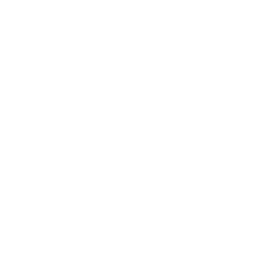 Norsk meteornettverk